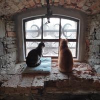  at Vegan House in Nagodzice