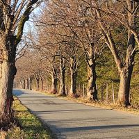  at Vegan House in Nagodzice