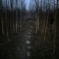  at Vegan House in Nagodzice