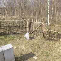  at Vegan House in Nagodzice