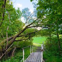  at Vegan House in Nagodzice