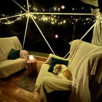  at Vegan House in Nagodzice