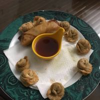 Yummy dumplings and summer rolls  at Jardin Verde in Santo Domingo