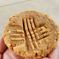 Peanut Butter Cookie! at Venerable Bean Bakery - Pre Order Only in Morgantown