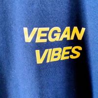 T Shirt at Vegan House in Ulaanbaatar