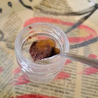 dessert offer at Plin E Tajarin in Turin