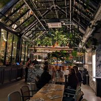 Inside at Elaine's Greenhouse in Frankfurt