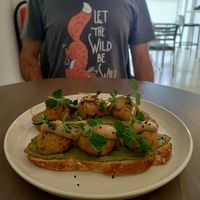 Toast with zucchini pesto, vegan balls, and hummus at Oh. Em. Gee! in Tunis