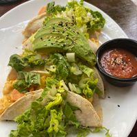 Mushroom quesadilla  at Tierra Verde in Playa Del Carmen