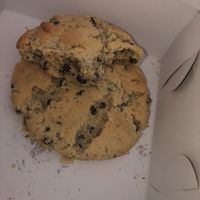 Chocolate Chip Cookies   at Basil & Bunny in Bristol