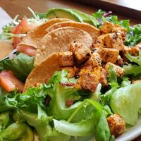 Avocado salad at Basil & Bunny in Bristol