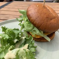   at Basil & Bunny in Bristol