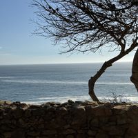   at Palaphita in Cascais