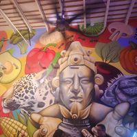  at CASA AÜA MÉRIDA in Merida