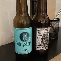   at La Perra Verde in Barcelona