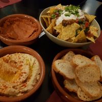 Tapas spread at La Perra Verde in Barcelona
