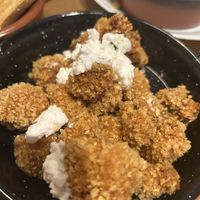   at La Perra Verde in Barcelona