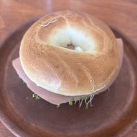   at JAJAJANA in Merida