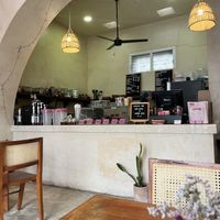   at JAJAJANA in Merida