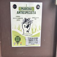   at JAJAJANA in Merida