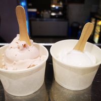 Blueberry Sorbet and Vegan Coconut Ice Cream at Gusto Gelato in El Nido