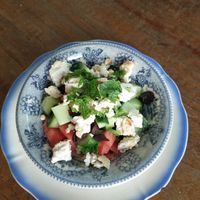 Watermelon salad with vegan cheese at PENTAGON in Lisbon