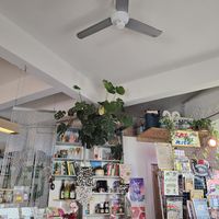  at PENTAGON in Lisbon