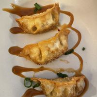 Gyoza  at Bloom Sushi in Paris