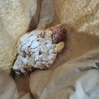  at Forest Bakery in Bristol