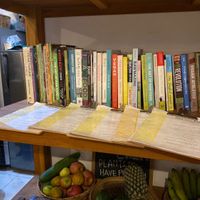   at Rizky Vegan Waroeng in Canggu