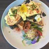 Mushroom Benedict 🌼  at Miss Sina in Marrickville