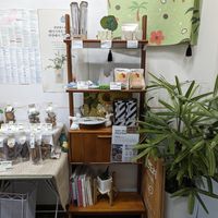  at Meandri  in Busan