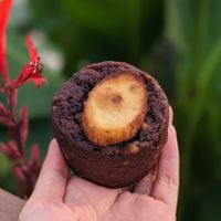 Vegan Sweet Potato Brownie Cup at Meandri  in Busan