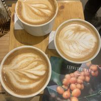 Beautiful coffee, superb flavour, great Barista.  at Espresso Mafia  in Girona