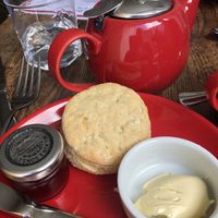 Tea and scone  at Rascals Cafe in Perth