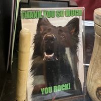   at Rascals Cafe in Perth