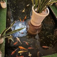  at Cai Mam Bistro - Signature Vegan in Hanoi