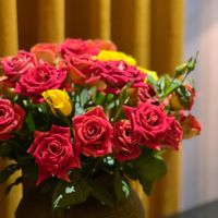  at Cai Mam Bistro - Signature Vegan in Hanoi