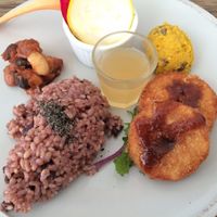 Today's deli plate at Chaya Macrobiotics - Shiodome in Tokyo
