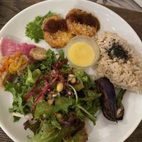 Main & salad deli plate with the option of tofu (the fried circles in the top)  at Chaya Macrobiotics - Shiodome in Tokyo