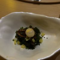 starter   at CUDO in Wroclaw