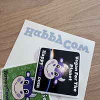 Love   at CUDO in Wroclaw