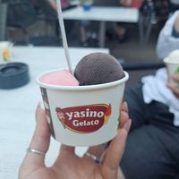 Strawberry and dark chocolate sorbet at IJssalon Yasino in Burgh-haamstede