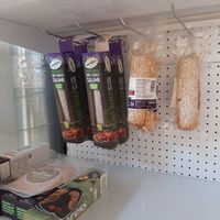  at Go Veggie in Bucharest