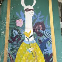 Alpaca 🦙   at Alpaca Homestyle Cafe in Nha Trang