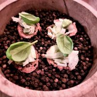 appetizer at Soul Kitchen in Ghent