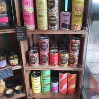 Sumatime! at Sunshine Co-operative in Sunderland