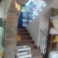 Didn't go up there at Organic Select in Puerto Vallarta