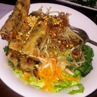 Vegan spring rolls with rice noodles at Pho - Soho in London