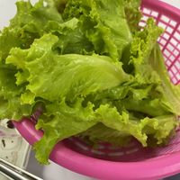 Greens served with noodle soup   at Zing Zing Che - ชิ้งชิงเจ in Udon Thani